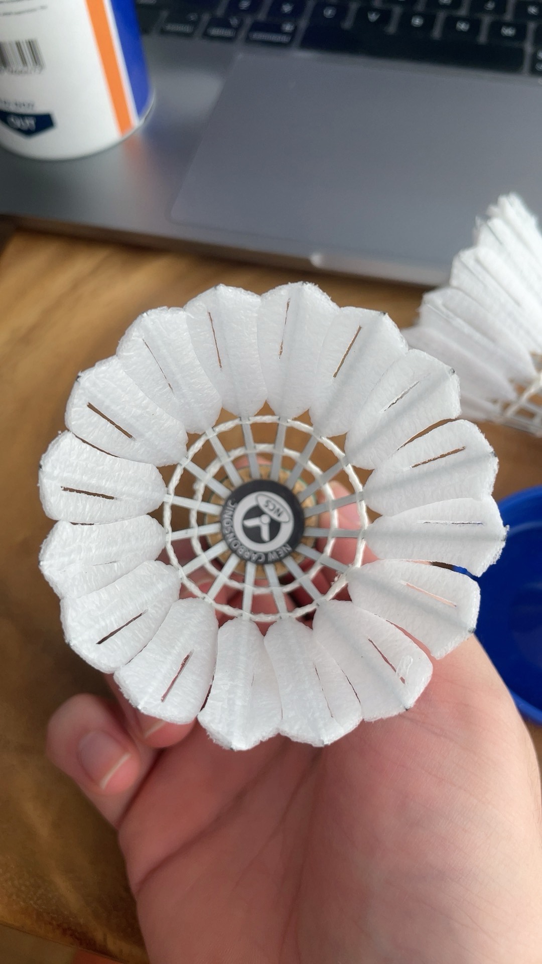 此次体育教 此次体育教