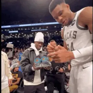 活动遵循 活动遵循